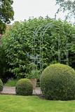 Garden Arch Boutique Sage 2.4m