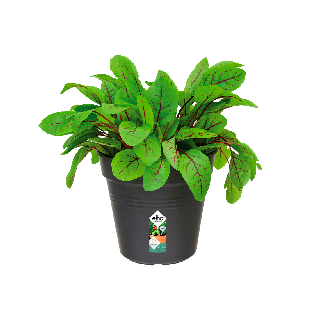 Green Basics Growpot 19cm Living Black | Cornwall Garden Shop | UK