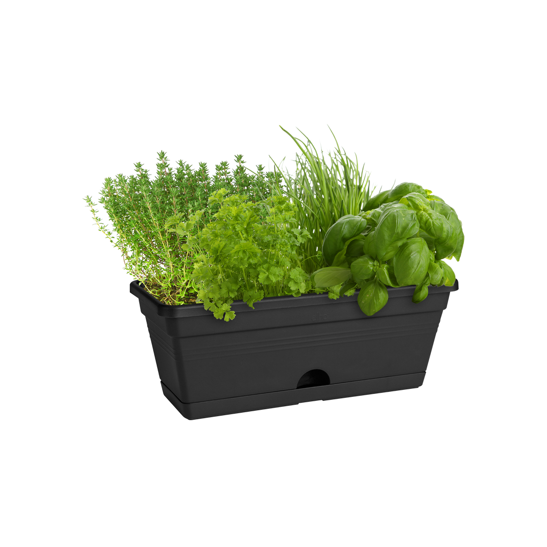 Green Basics Trough Mini 30cm Living Black | Cornwall Garden Shop | UK