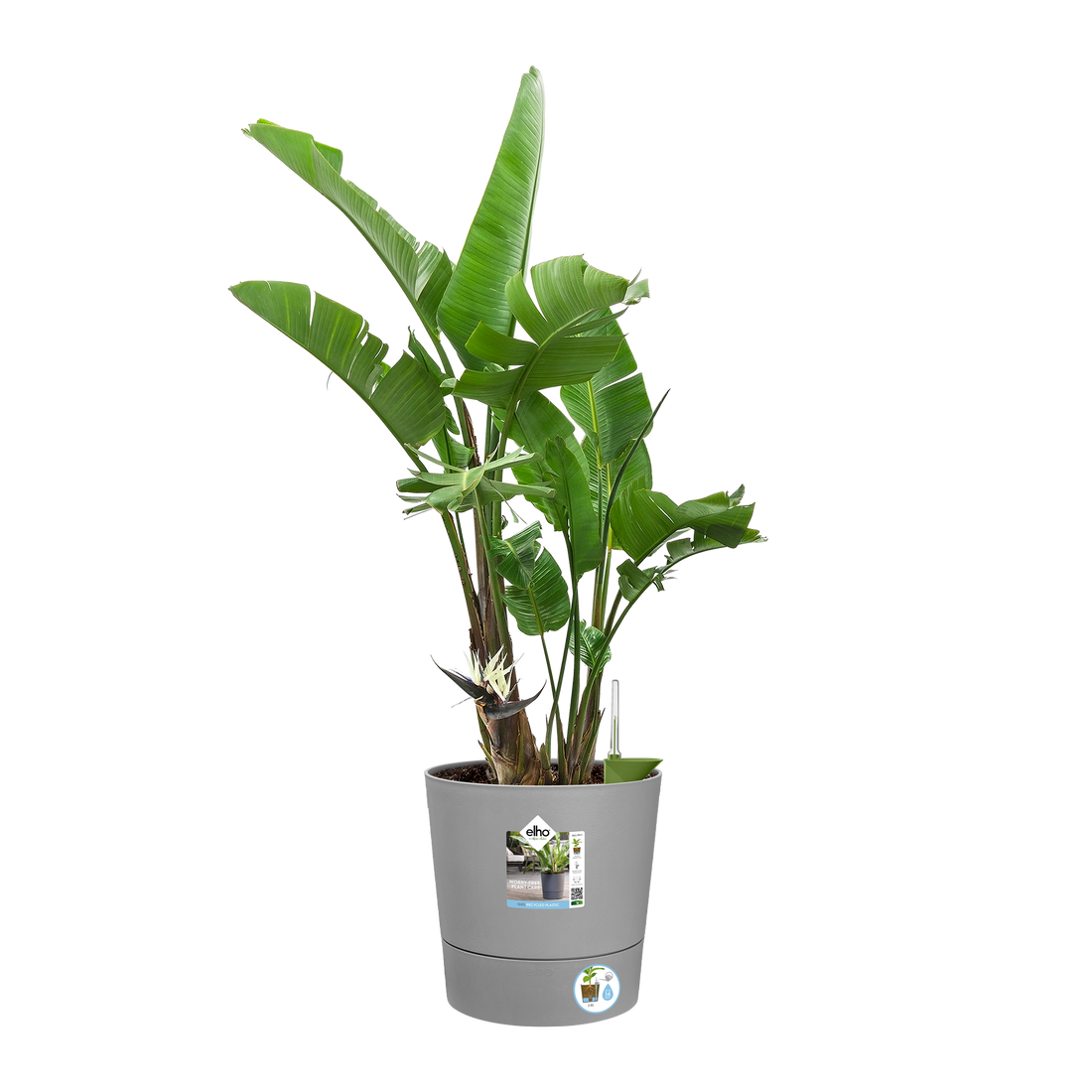 Greensense Aqua Care Round 30cm Light Concrete