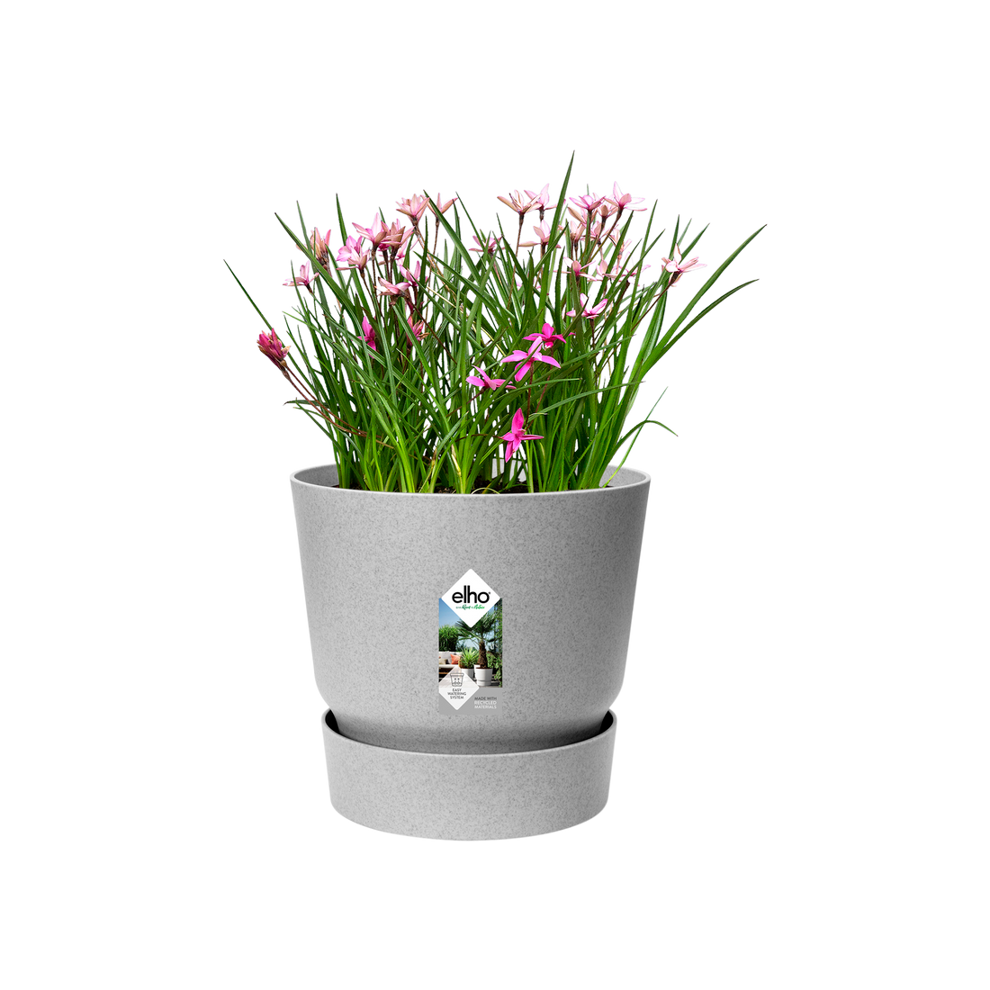 Greenville Round 16cm Living Concrete | Cornwall Garden Shop | UK