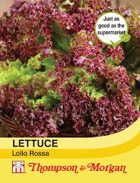 Lettuce Lollo Rossa Seeds