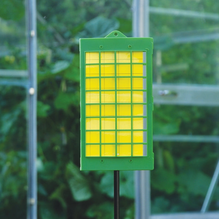 Greenhouse Insect Catcher Traps (5pk)