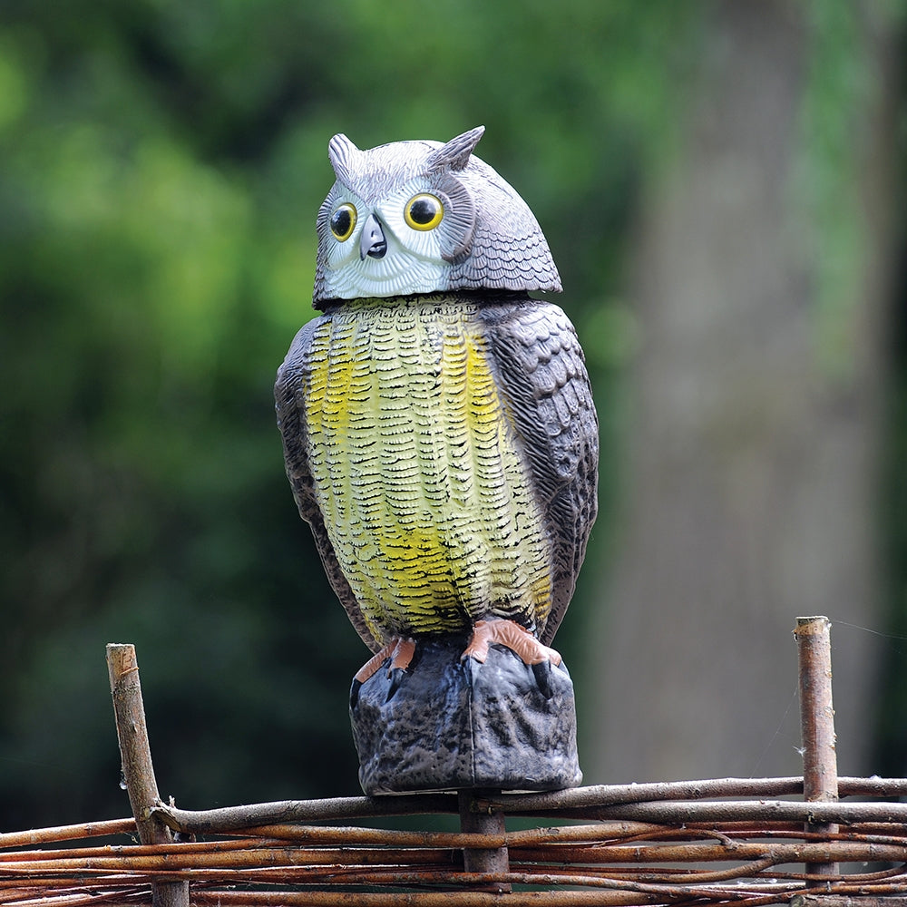 Owl Wind Action