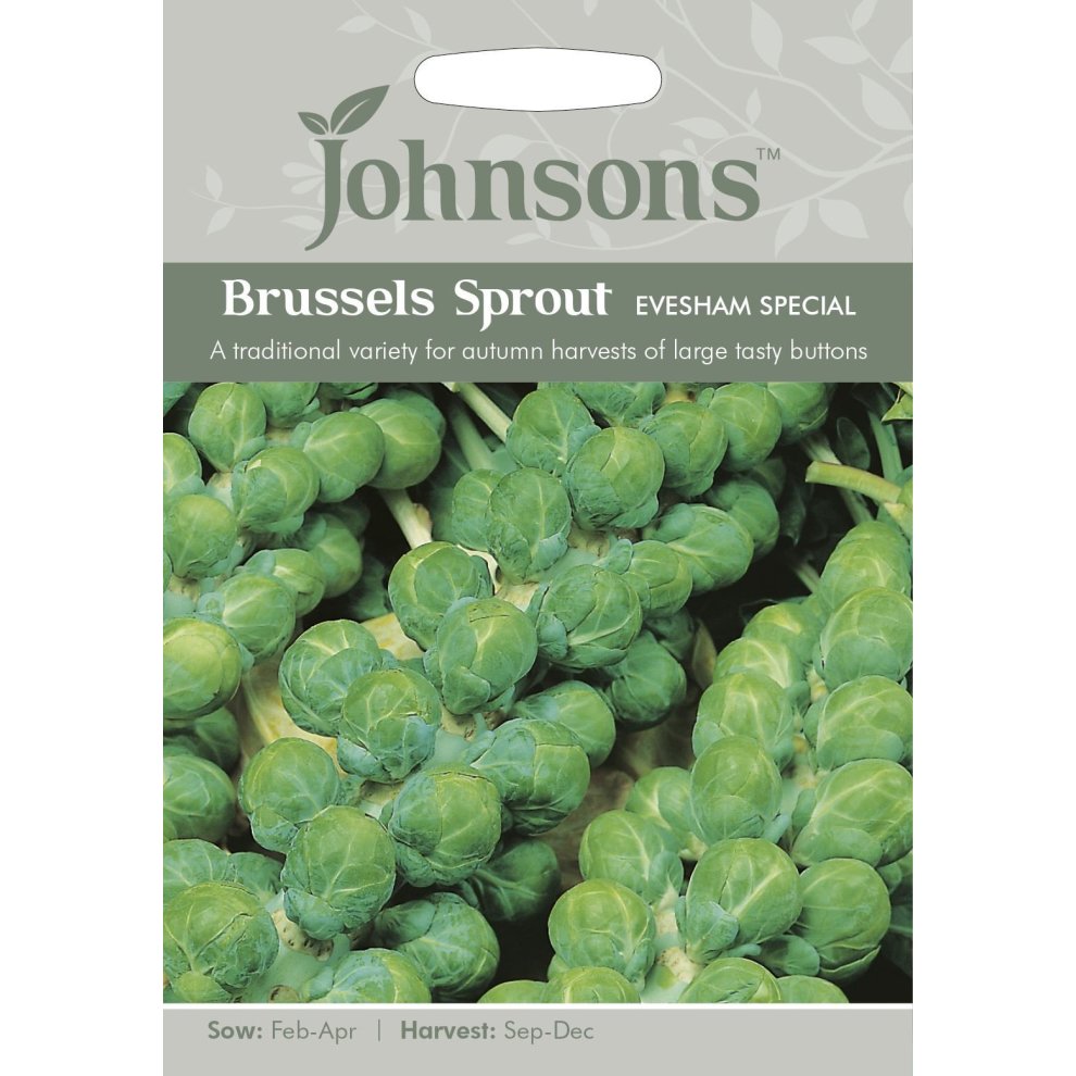 Brussels Sprout Evesham Special Seeds