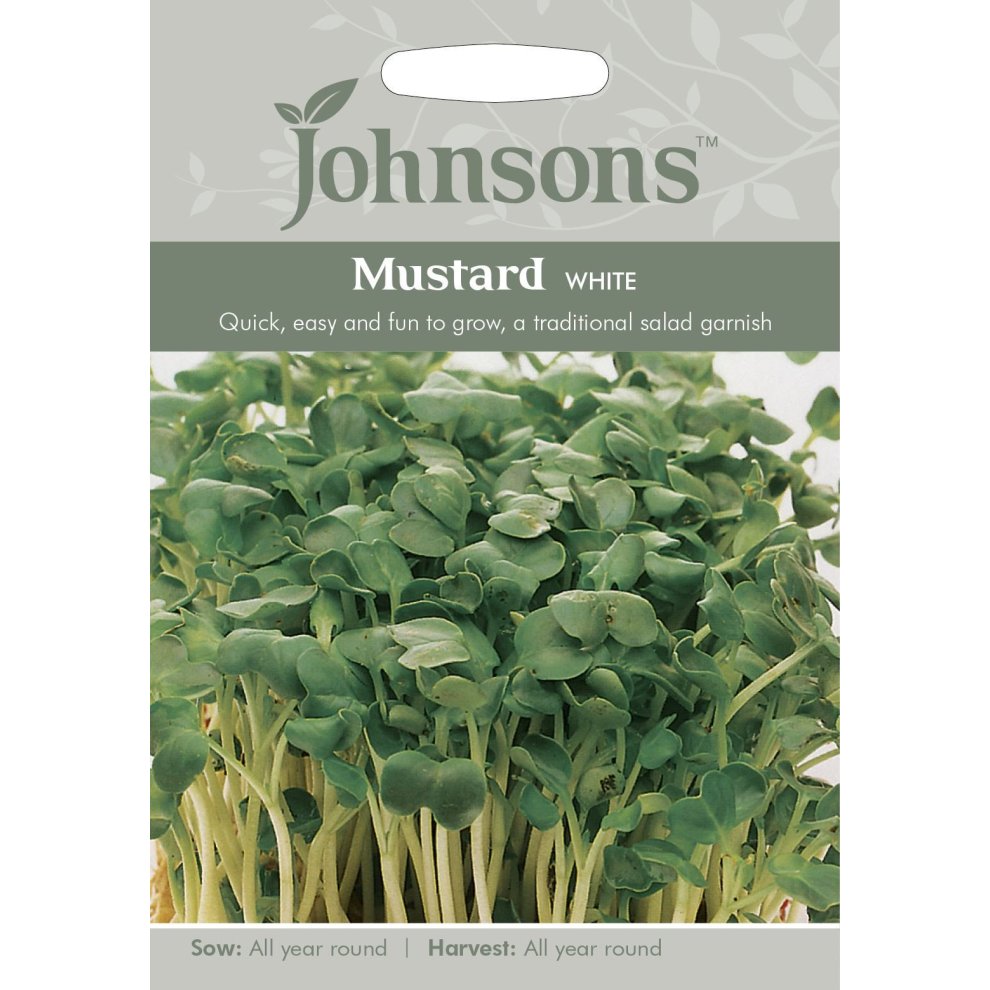 Mustard White Seeds