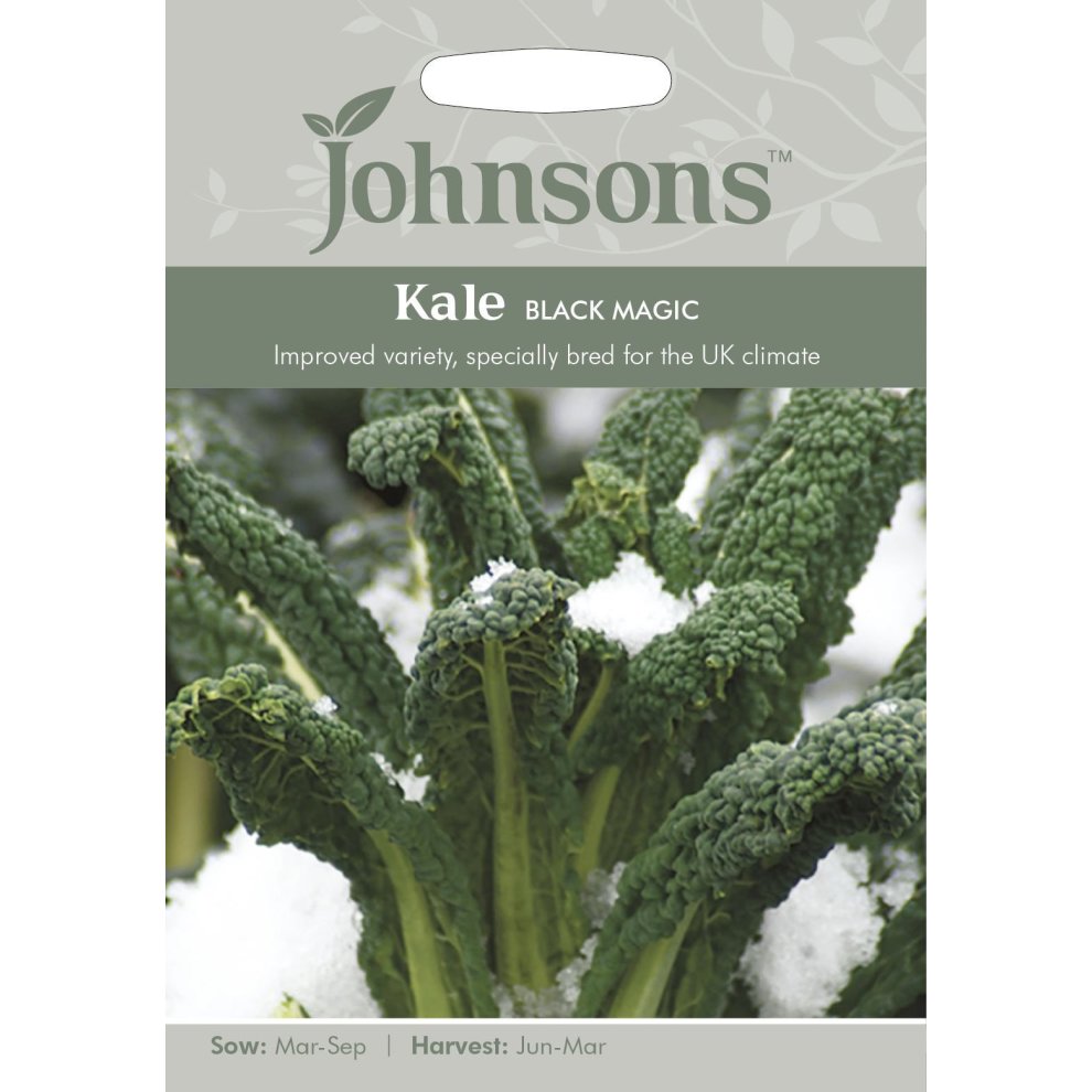 Kale Black Magic Seeds