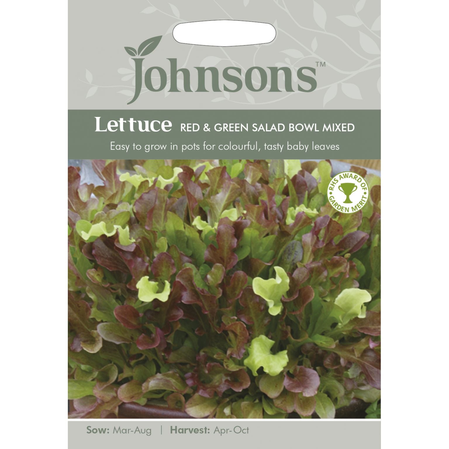 Lettuce Red & Green Salad Bowl Mixed Seeds