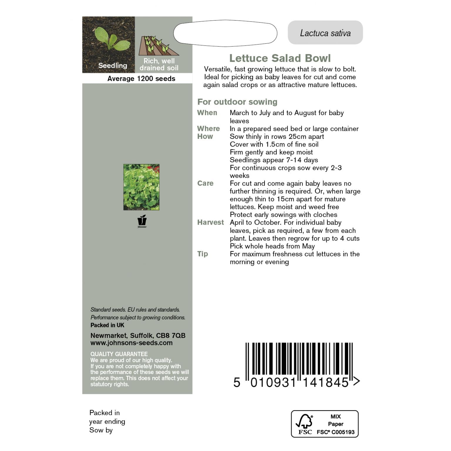 Lettuce Salad Bowl Seeds