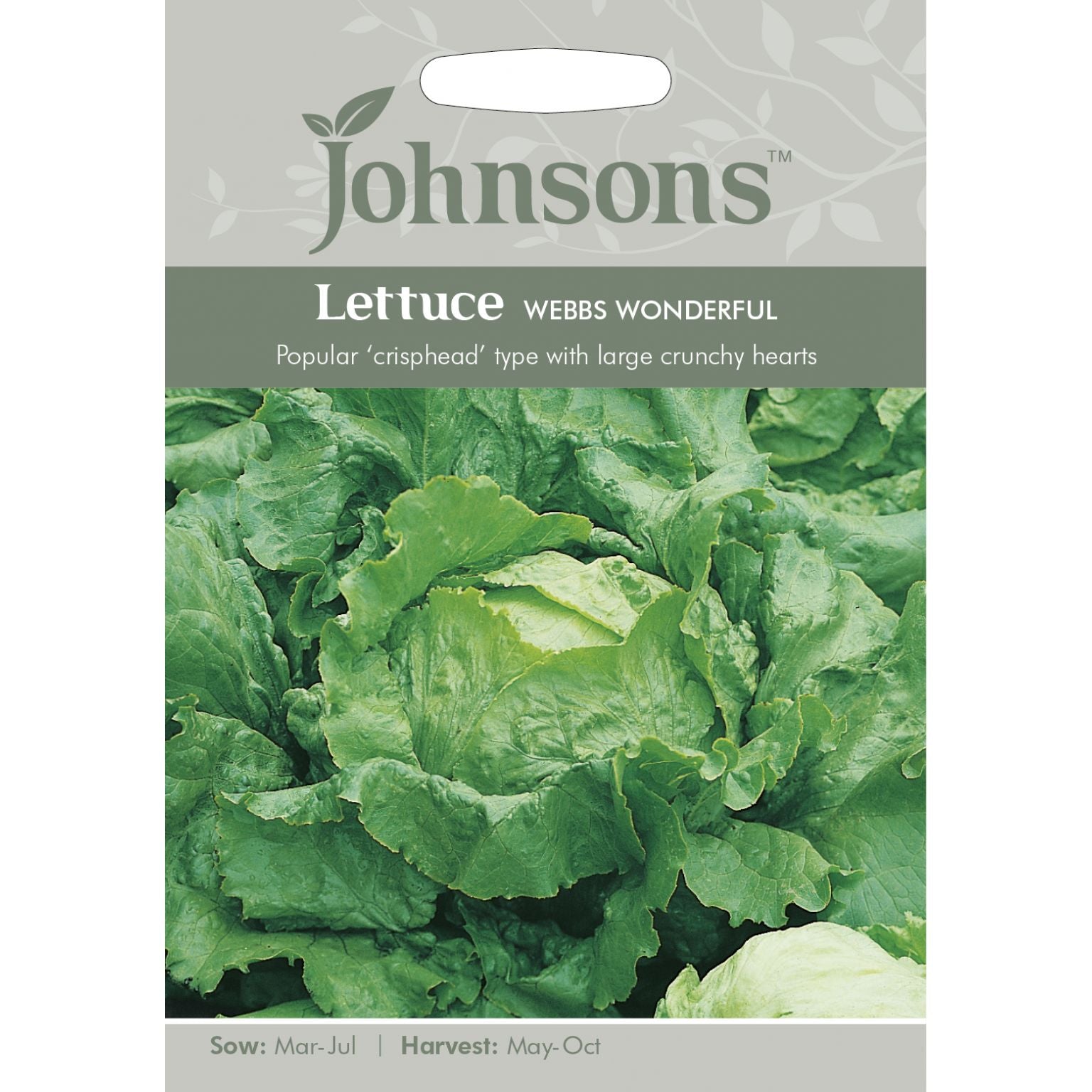 Lettuce Webbs Wonderful Seeds