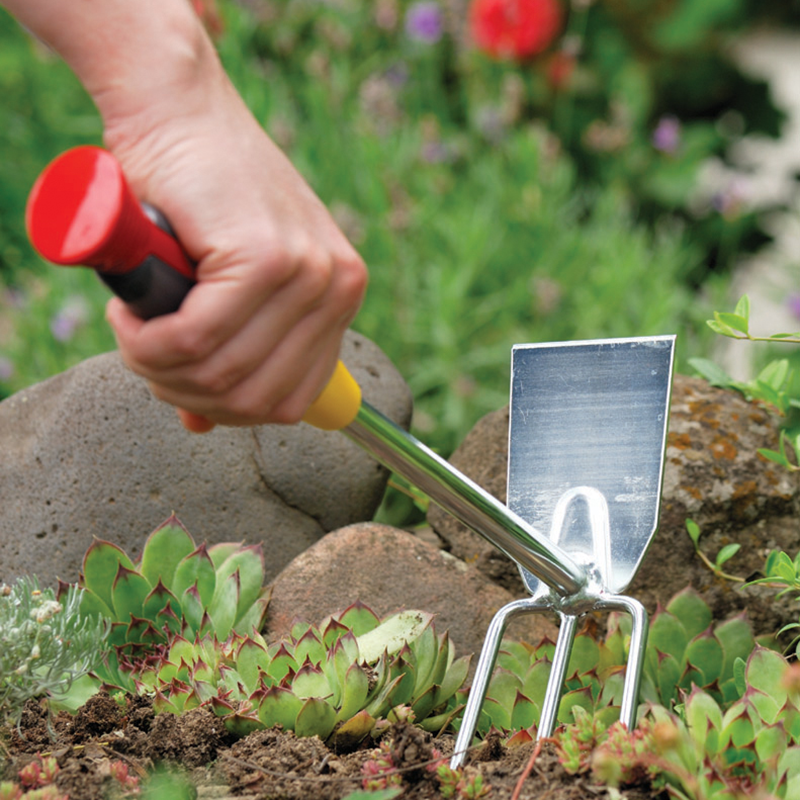 Hand Double Hoe with Fixed Handle