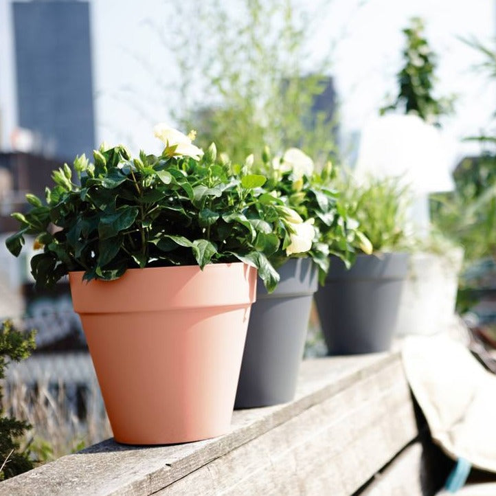 Loft Urban Round 30cm Delicate Pink | Cornwall Garden Shop | UK