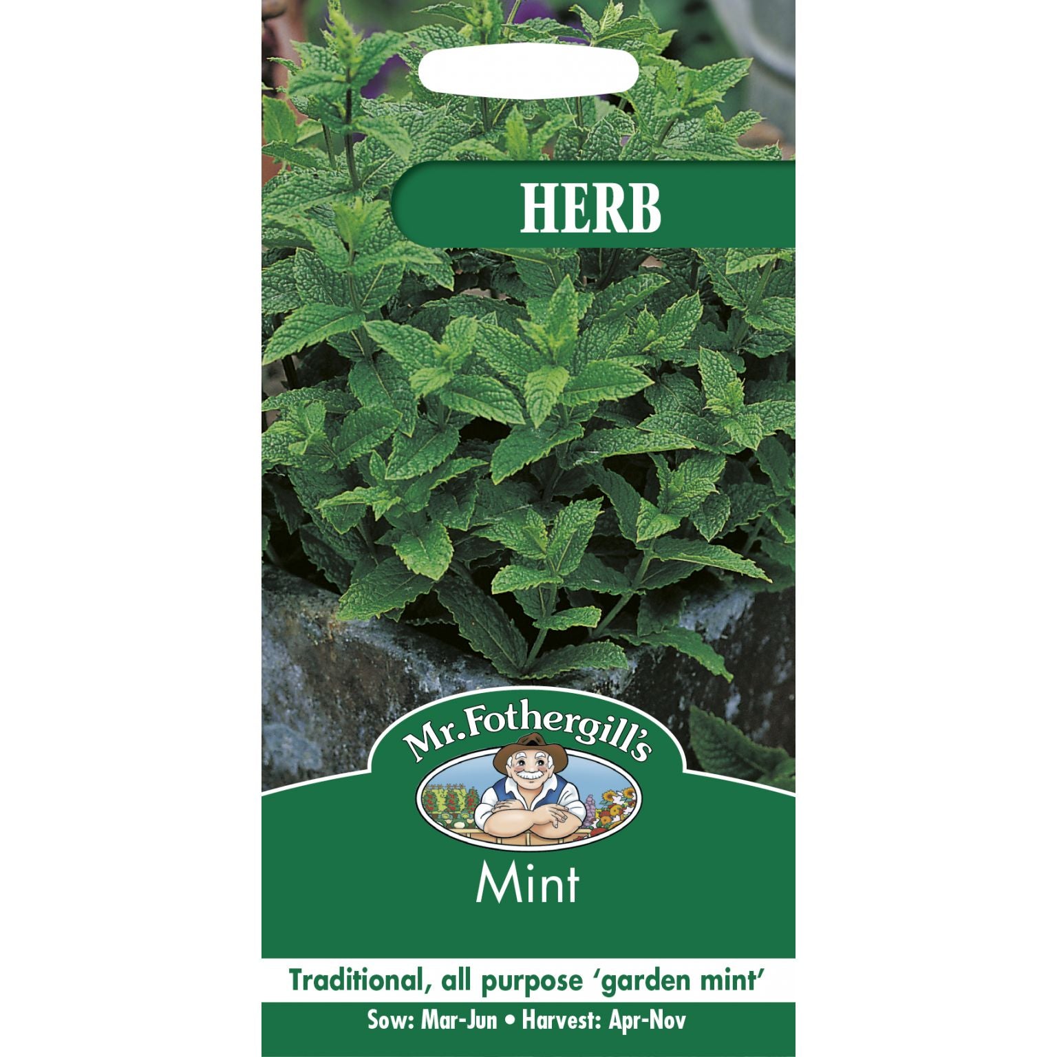 Mint Herb Seeds