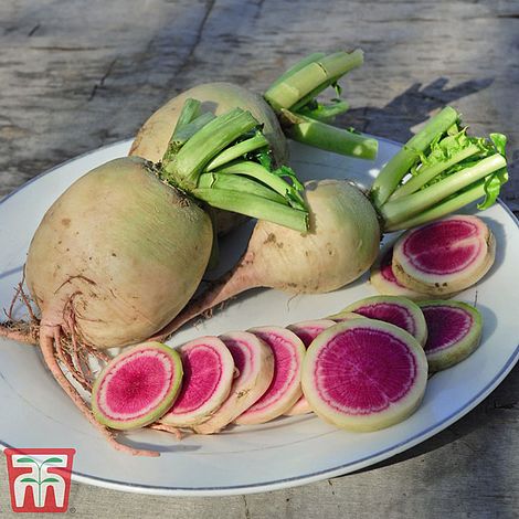 Radish Misato Rose Flesh Seeds