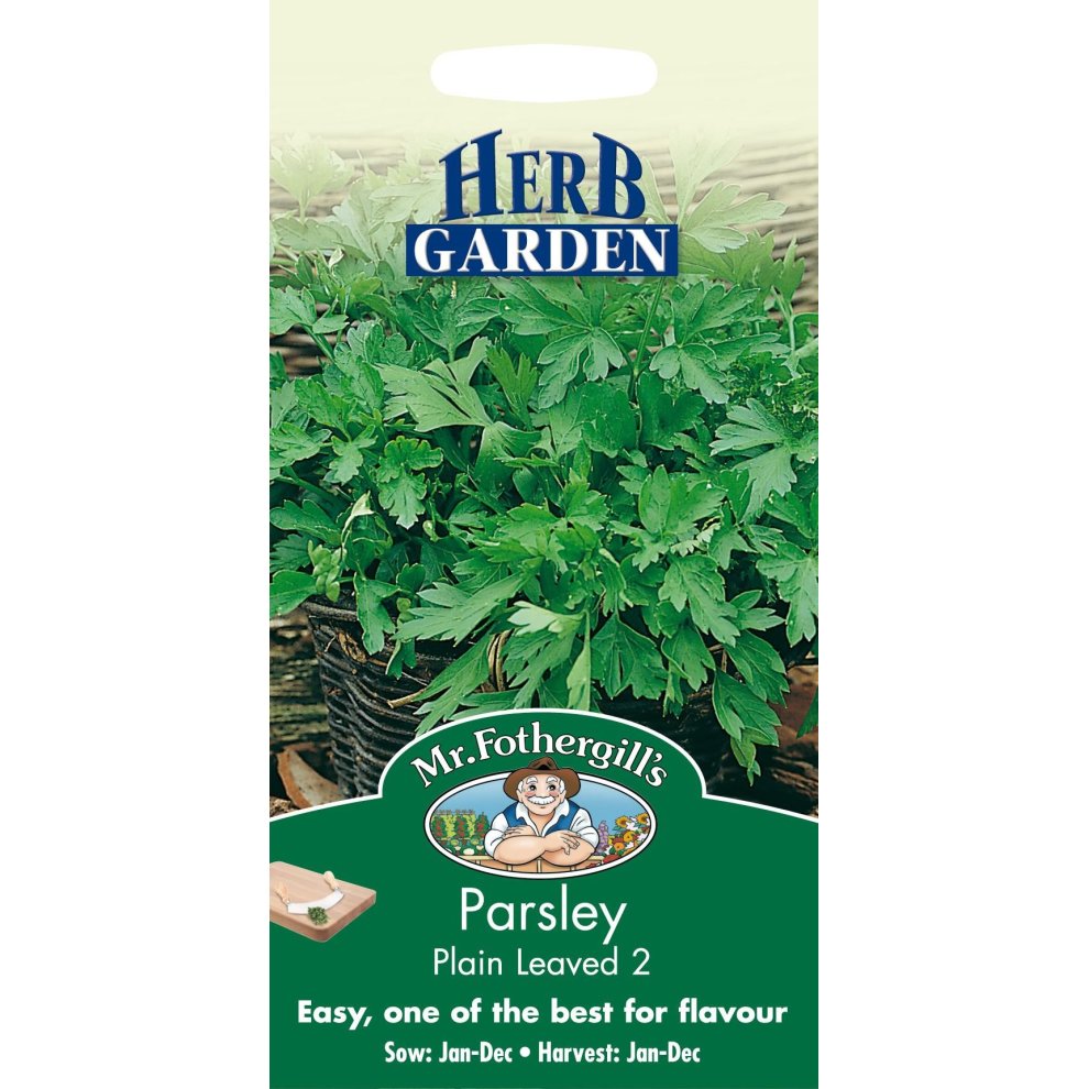 Parsley Plain Leaved 2 Herb Seeds