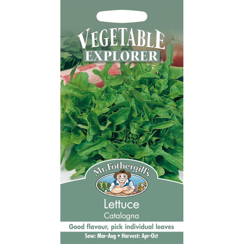 Lettuce Catalogna Seeds