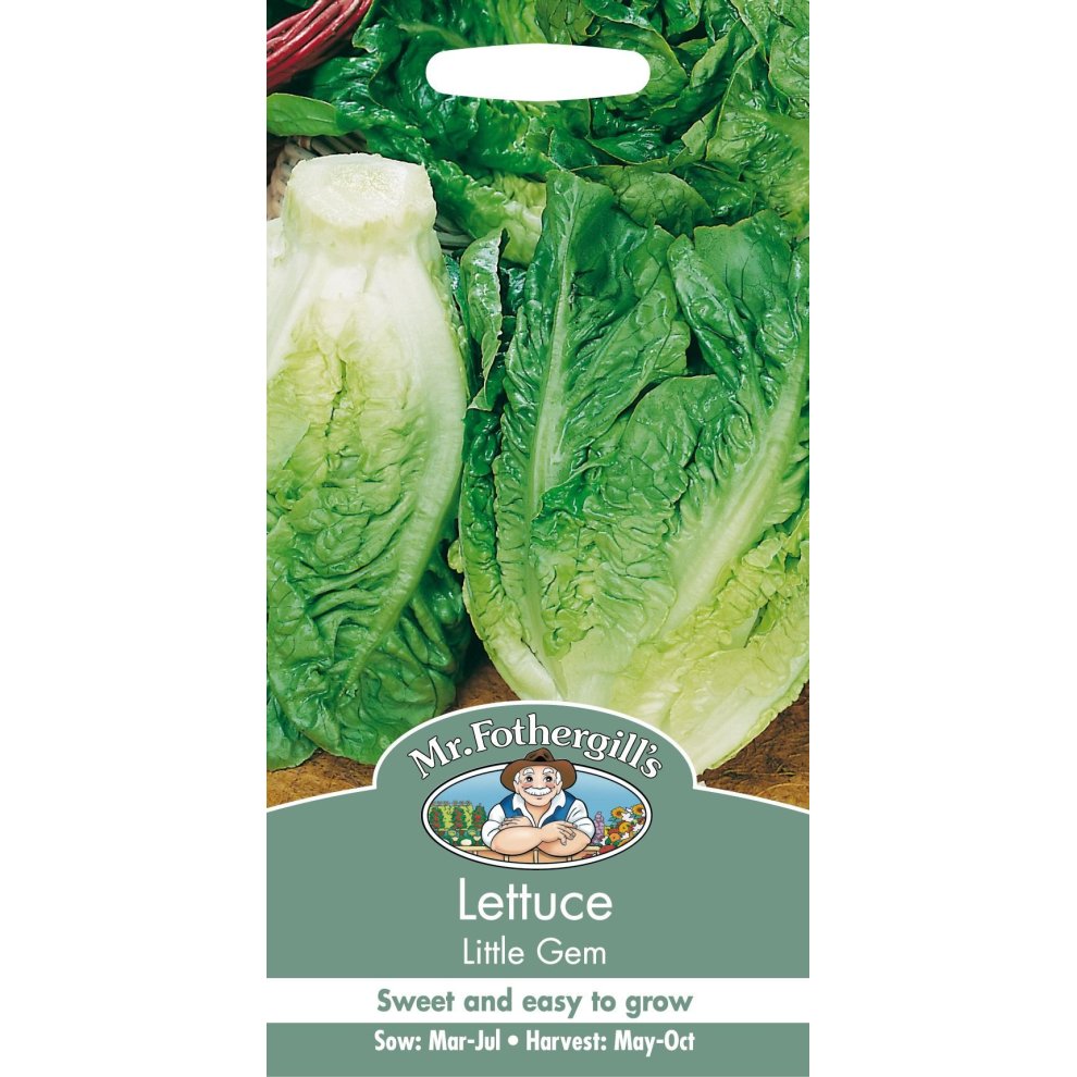 Lettuce Little Gem Seeds