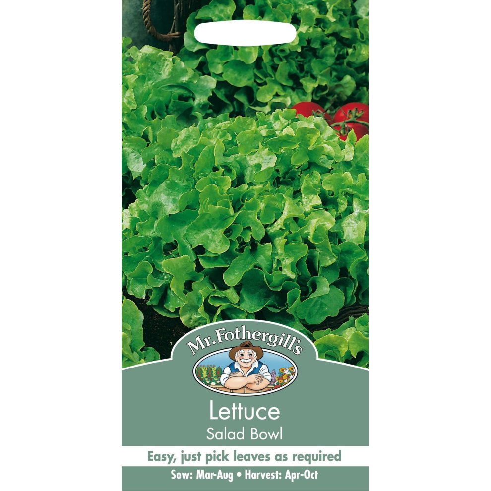 Lettuce Salad Bowl Seeds