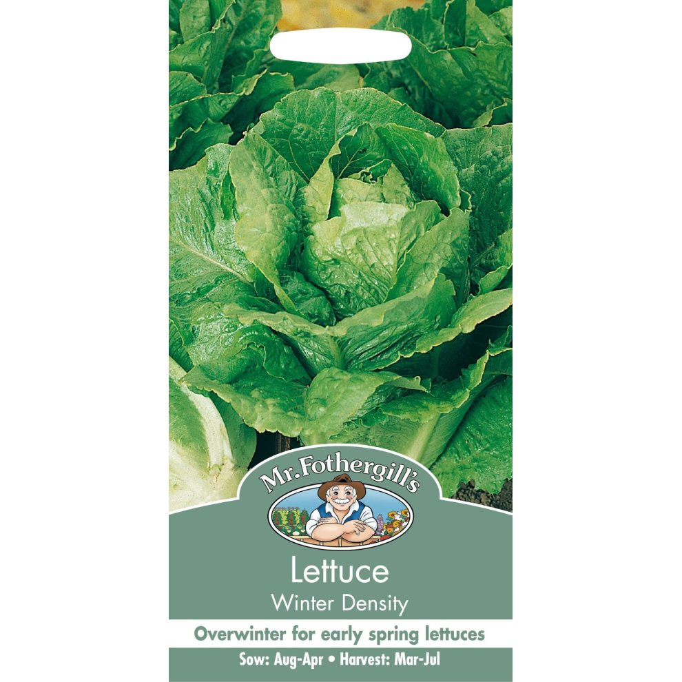Lettuce Winter Density Seeds