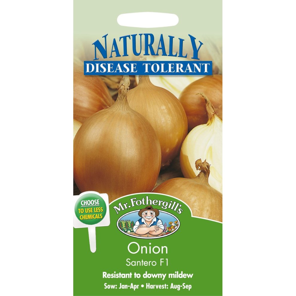 Onion Santero F1 Seeds