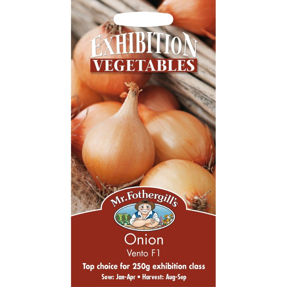Onion Vento F1 Seeds
