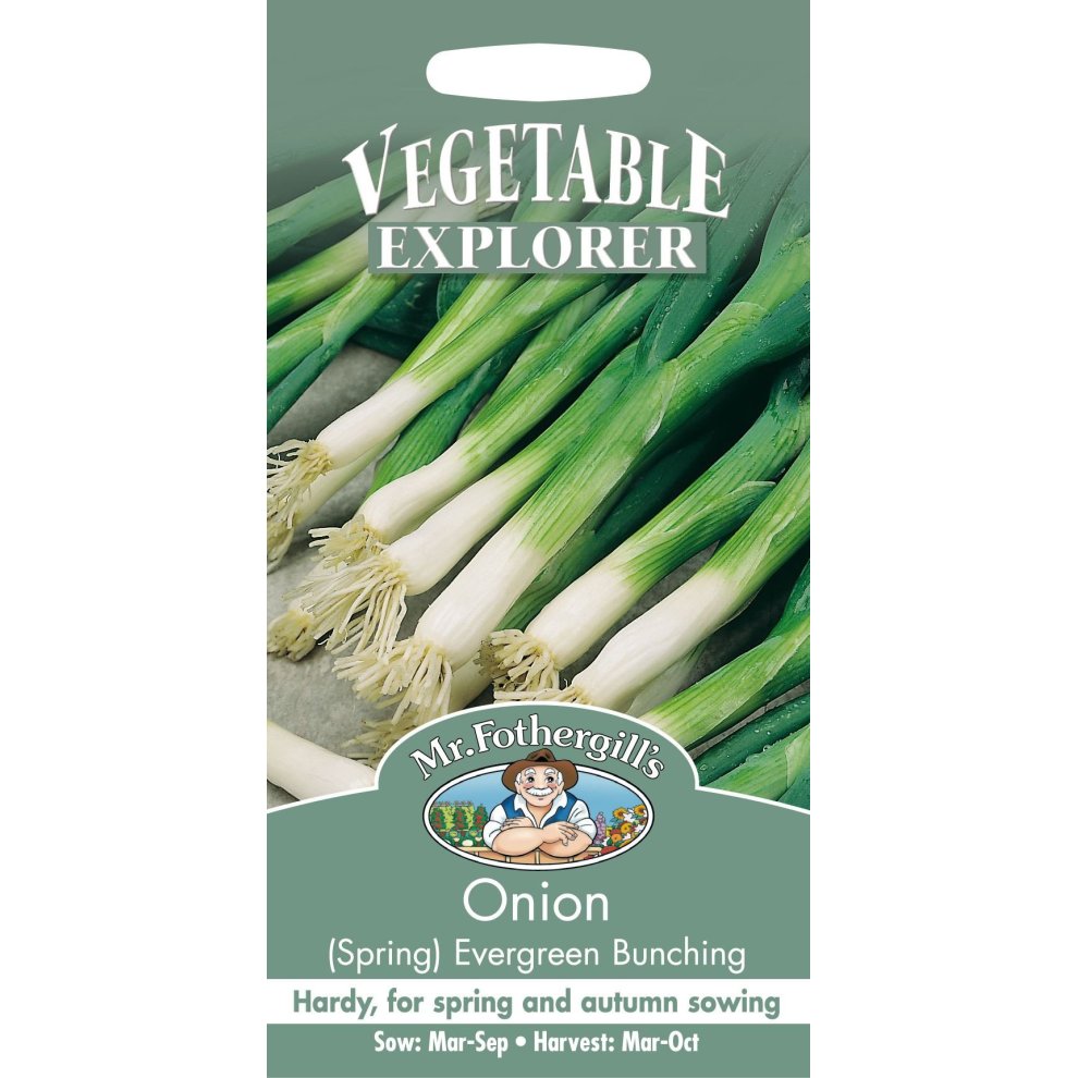 Onion (Spring) Evergreen Bunching Seeds