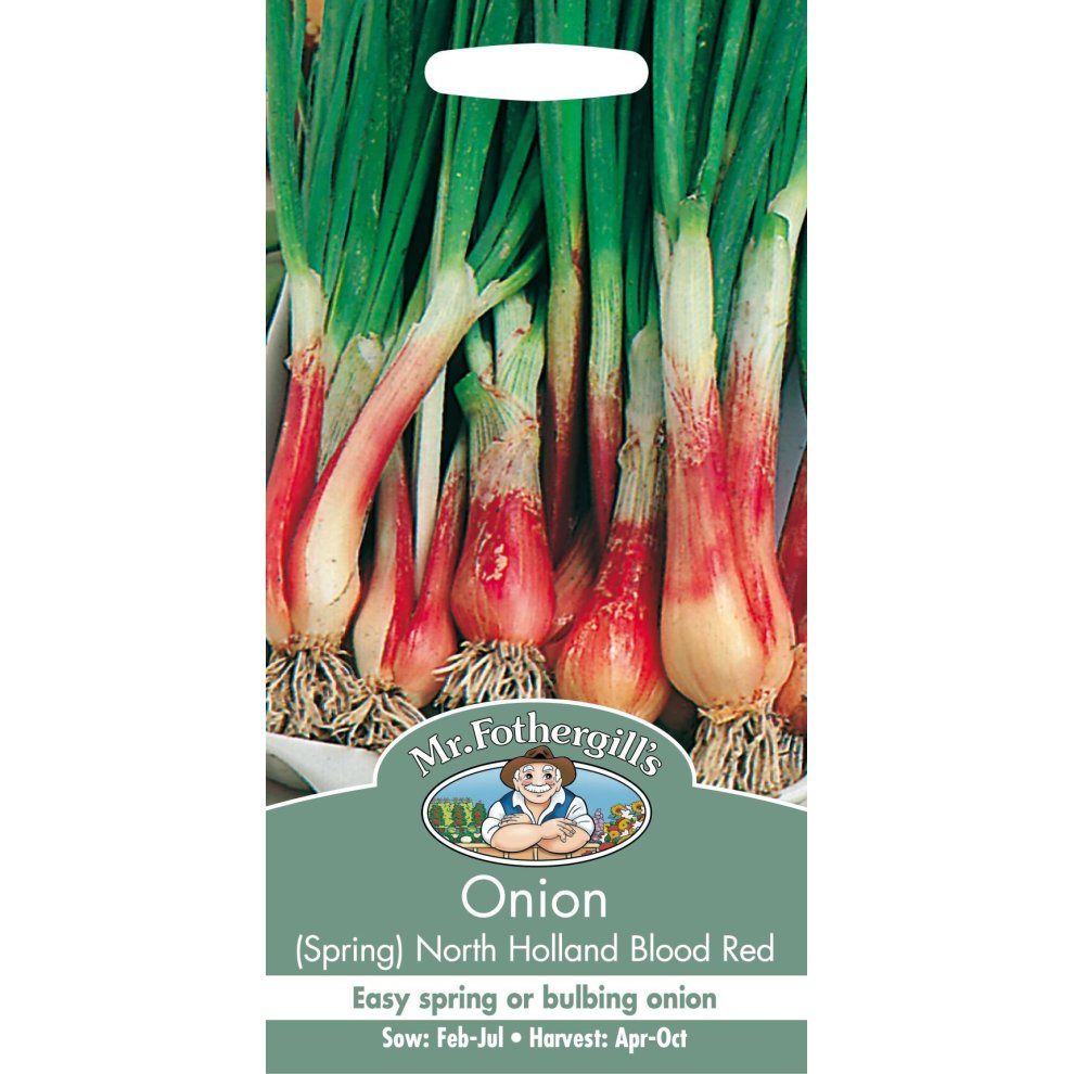 Onion (Spring) North Holland Blood Red Seeds