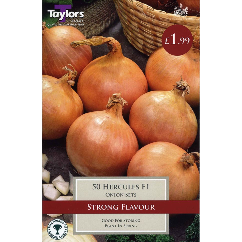 Onion Sets Hercules F1 - 50 Sets