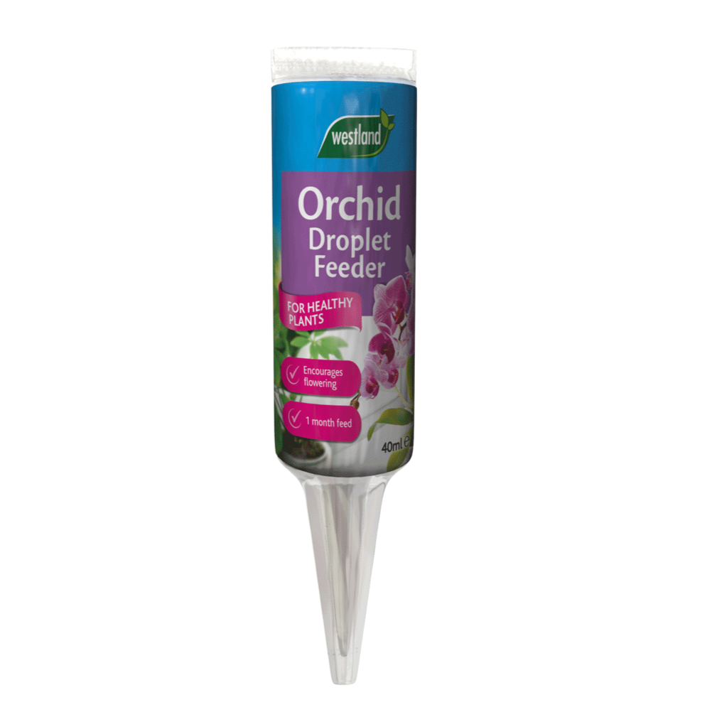 Orchid Droplet Feeder 40ml | Cornwall Garden Shop | UK