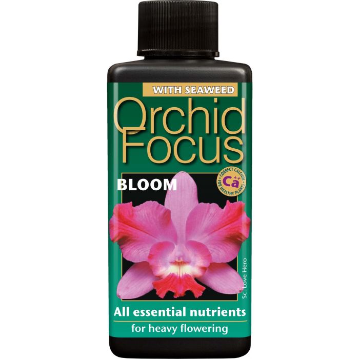 Orchid Focus Bloom 100ml