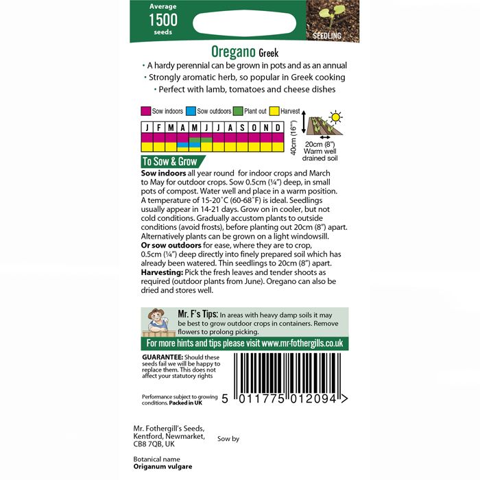 Oregano (Greek) Herb Seeds