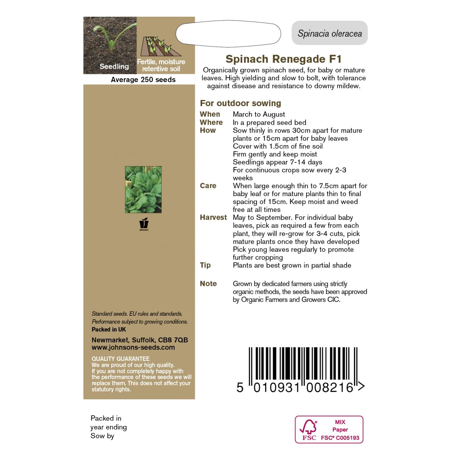 Spinach Renegade F1 Organic Seeds