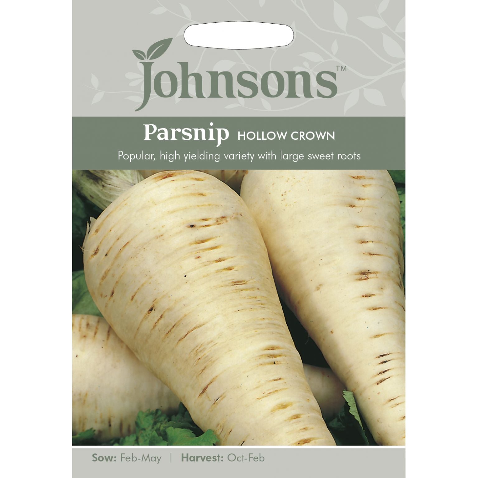 Parsnip Hollow Crown Seeds