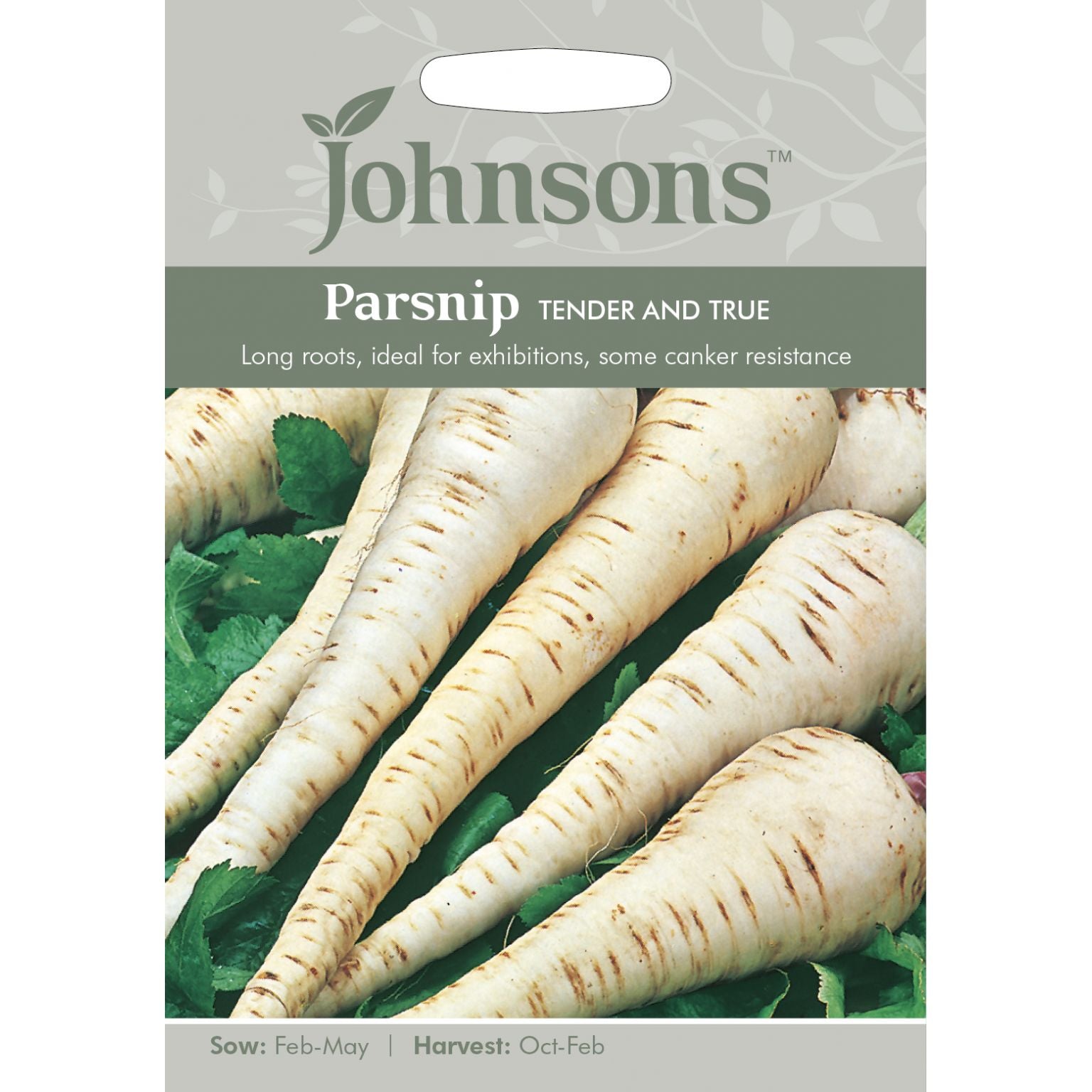 Parsnip Tender and True Seeds