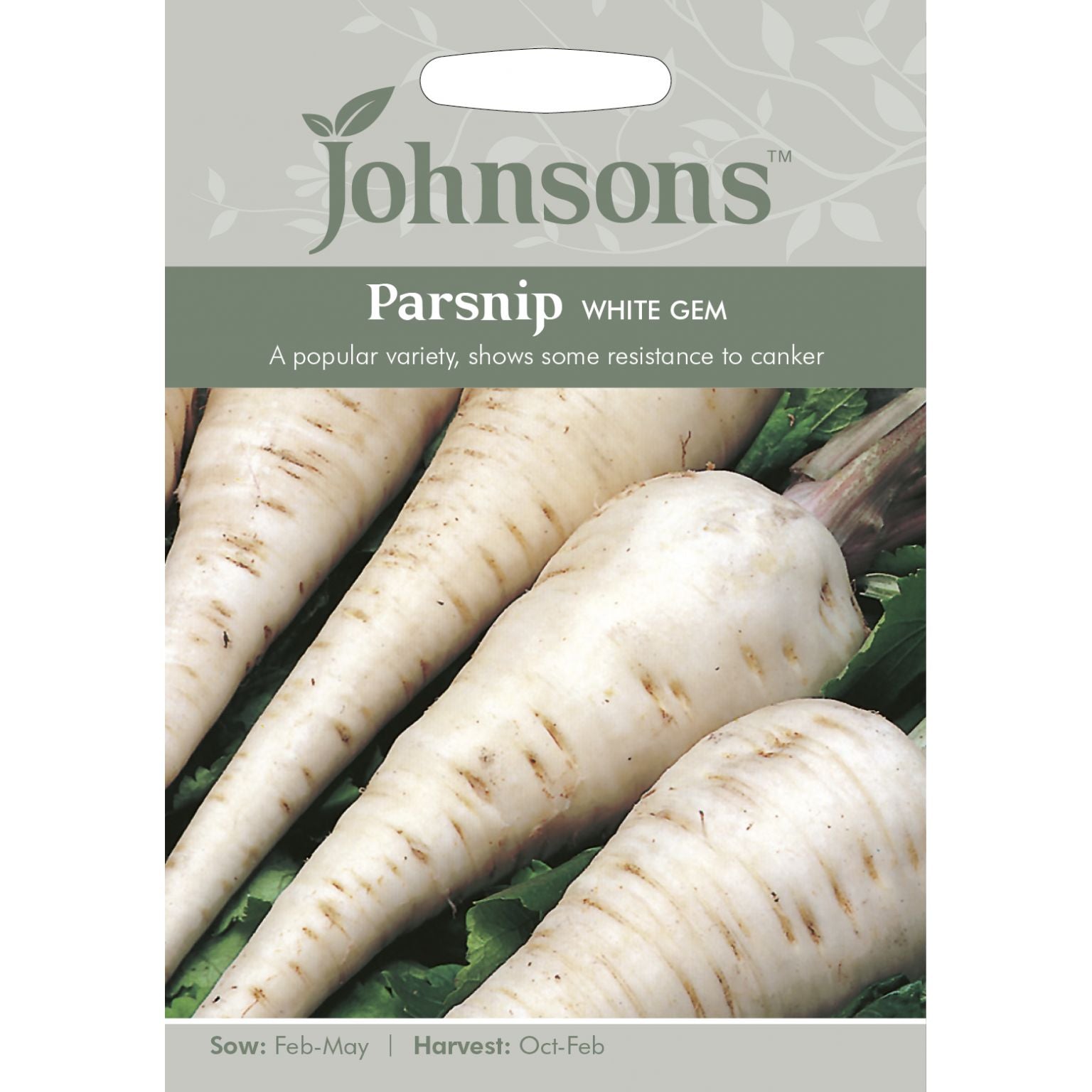 Parsnip White Gem Seeds