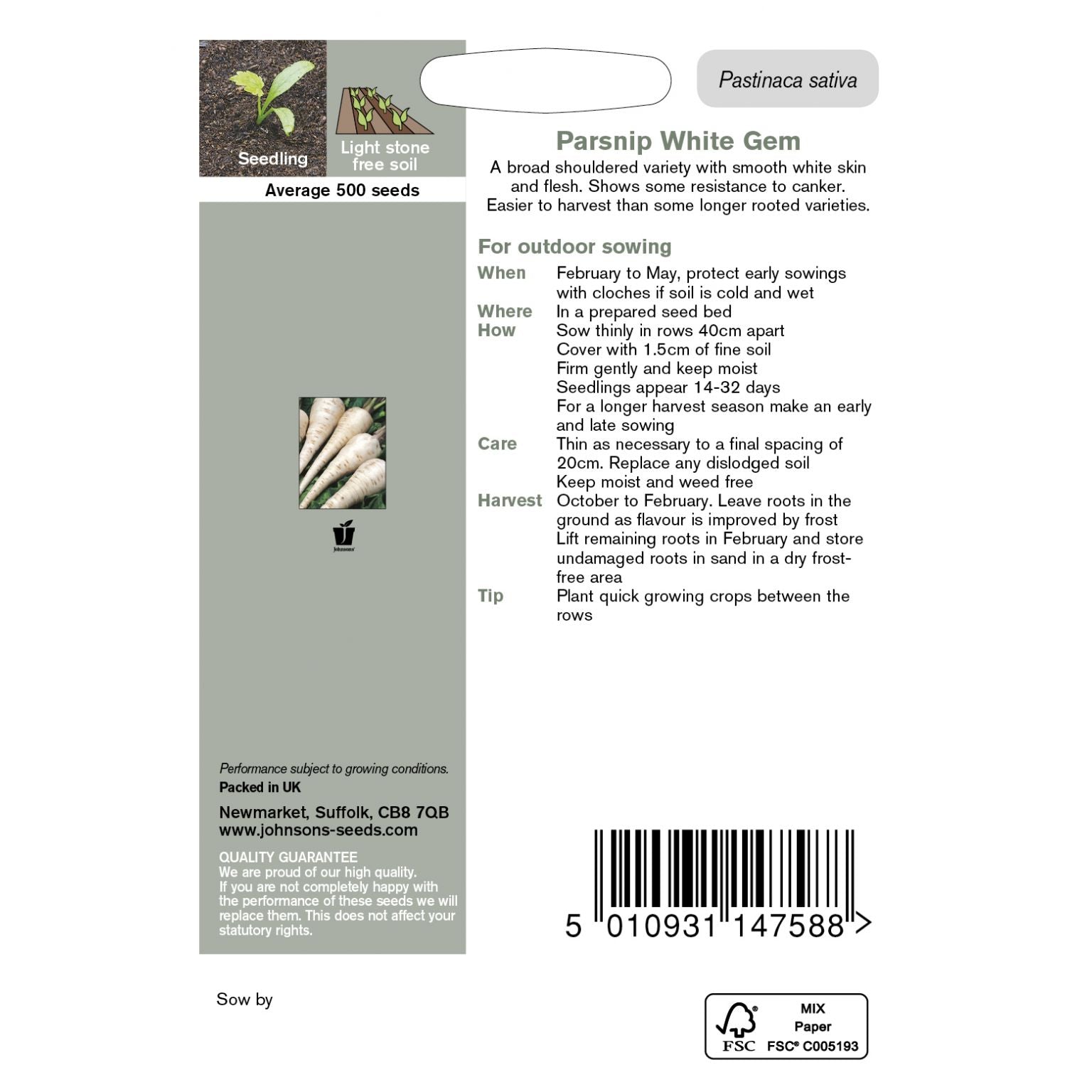 Parsnip White Gem Seeds