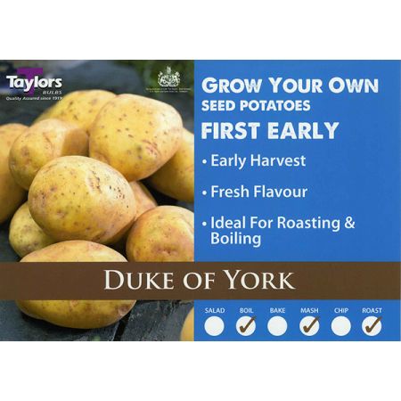 Duke Of York First Early Seed Potatoes 2kg