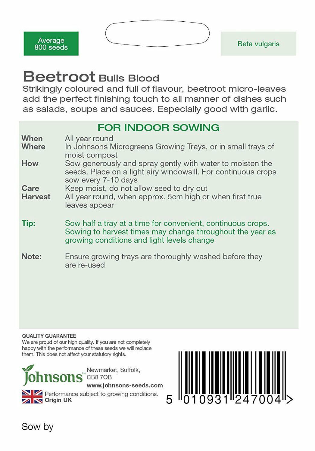 Microgreens Beetroot Bulls Blood Seeds