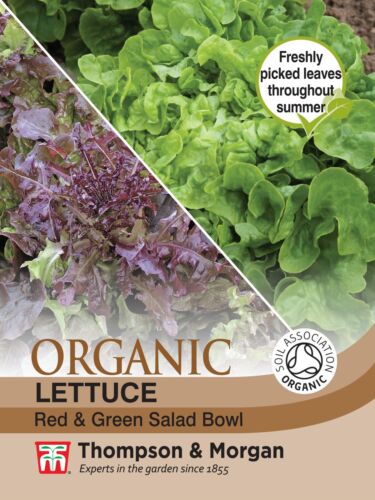 Lettuce Red & Green Salad Bowl (Organic) Seeds