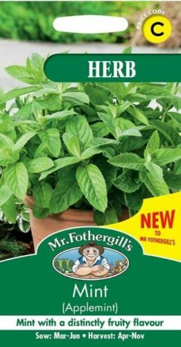 Mint (Applemint) Herb Seeds