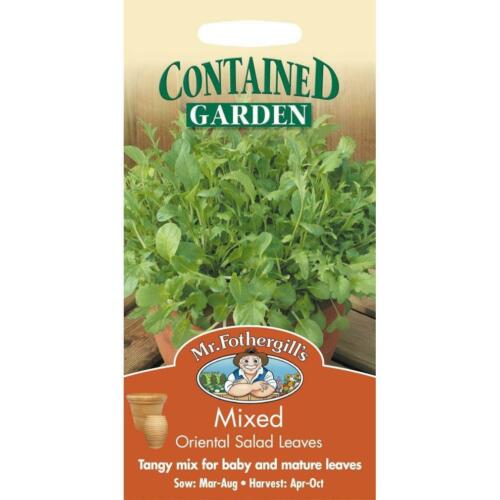 Oriental Salad Leaves Mixed Seeds