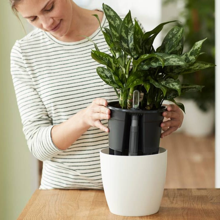 Self Watering Insert 28cm Living Black | Cornwall Garden Shop | UK