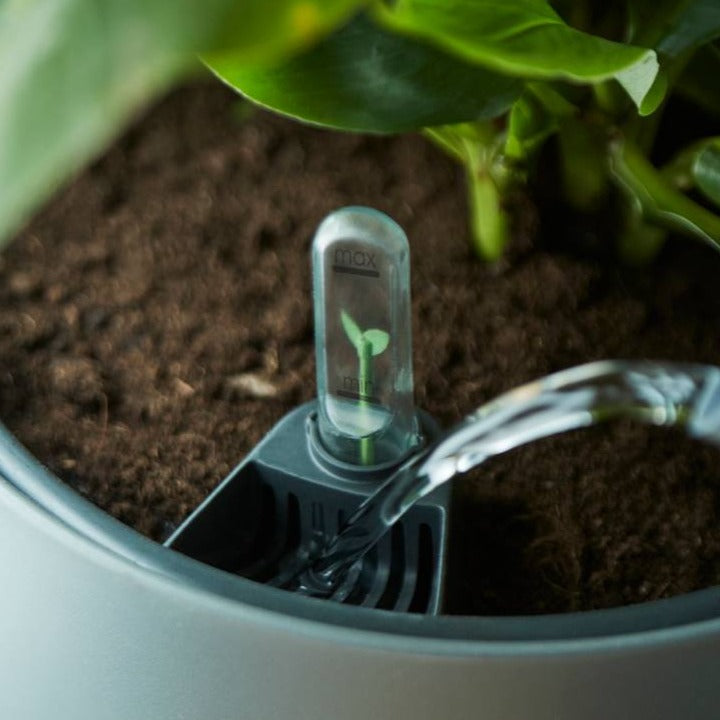 Self Watering Insert 28cm Living Black | Cornwall Garden Shop | UK