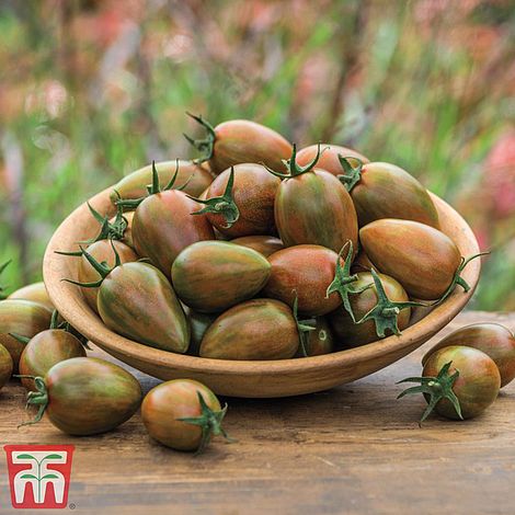 Tomato Shimmer Seeds