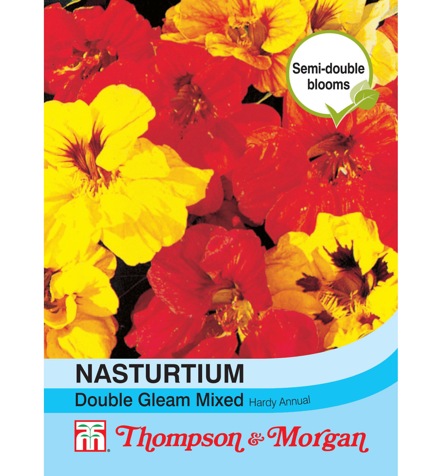 Nasturtium Double Gleam Mixed Flower Seeds