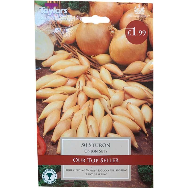 Onion Sets - Sturon