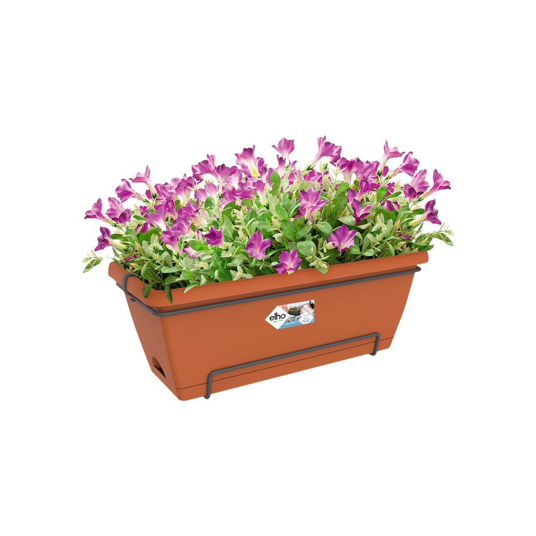 Barcelona XL All in 1 55cm Terra | Cornwall Garden Shop | UK