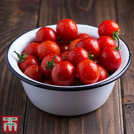 Tomato Veranda Red F1 Seeds