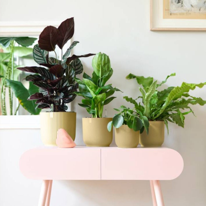 Vibes Fold Round Mini 7cm Butter Yellow