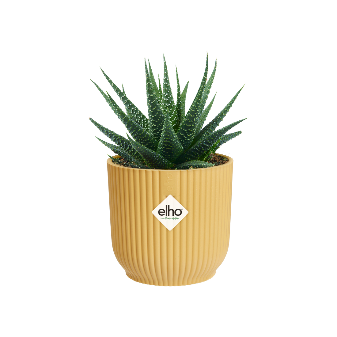 Vibes Fold Round Mini 7cm Butter Yellow | Cornwall Garden Shop | UK
